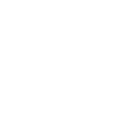 Techno Diesel